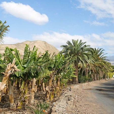 Casa Maria - Caserio De Guaza Palm-mar Kültér fotó