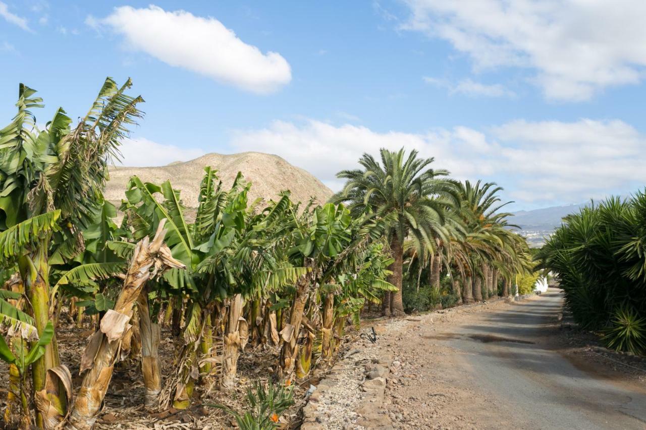 Casa Maria - Caserio De Guaza Palm-mar Kültér fotó
