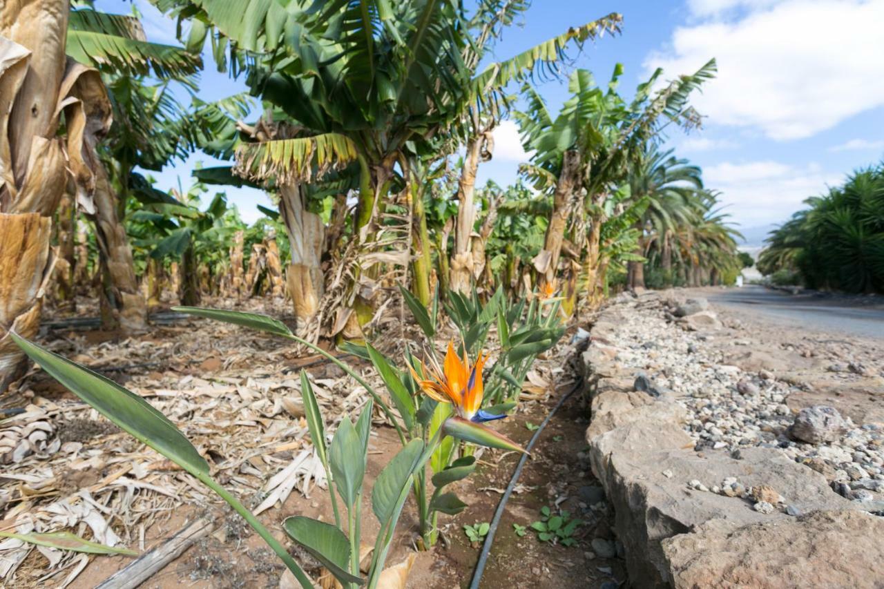 Casa Maria - Caserio De Guaza Palm-mar Kültér fotó
